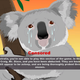 Illustration for article titled South Park Censorship Makes Cute Australian Animals Cry